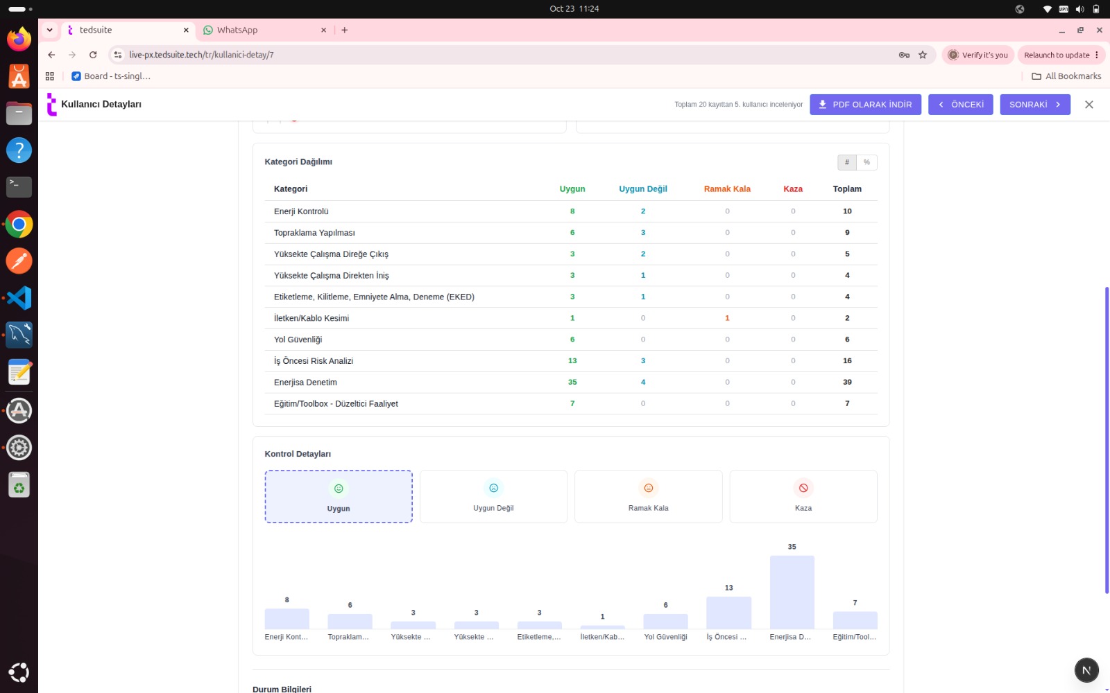 Tedsuite Web: Categories and findings